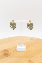 Monstera Dangles
