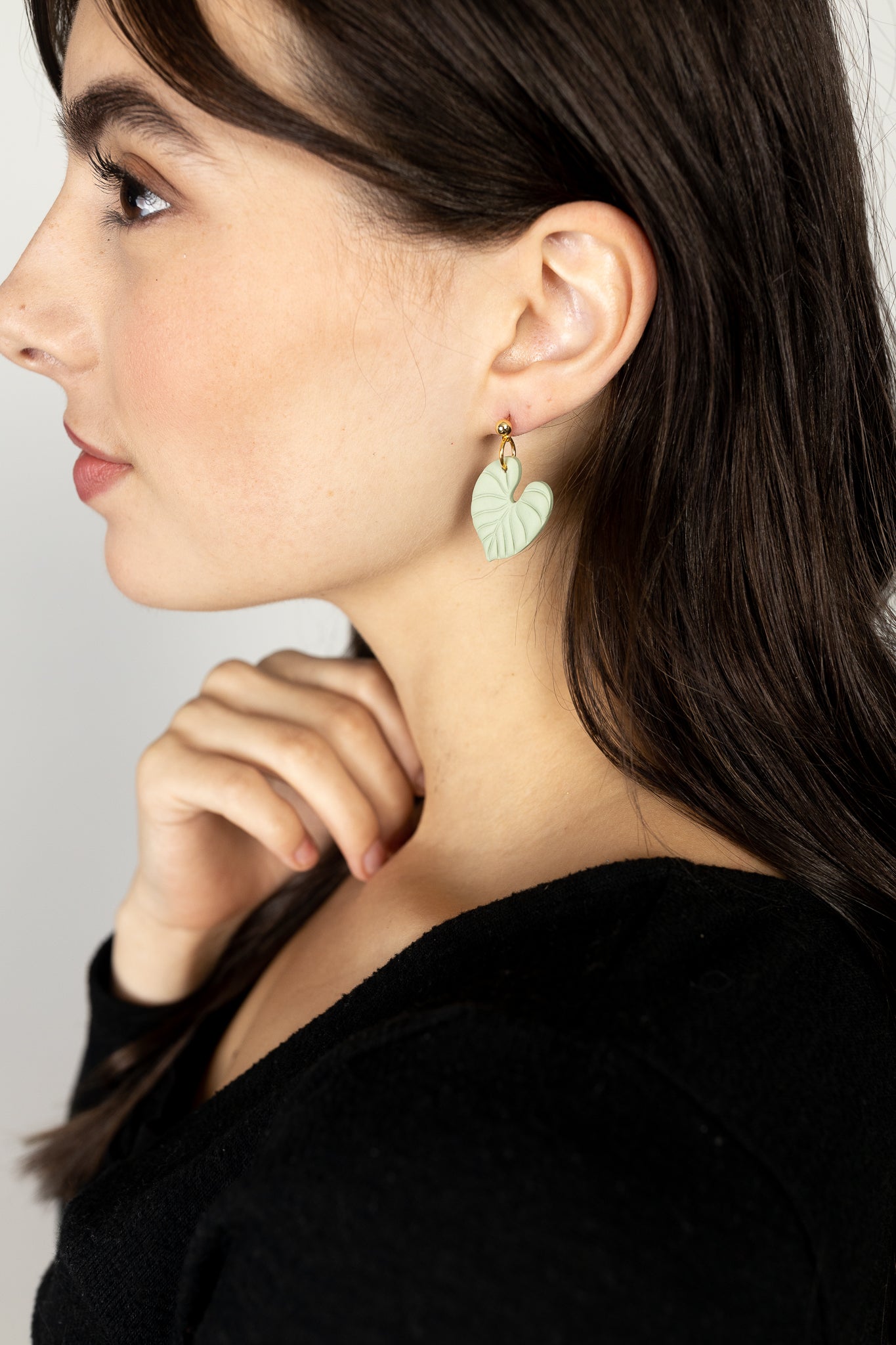 Philodendron Dangles